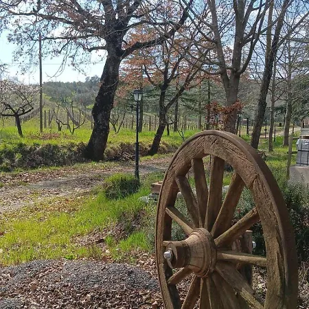 In Casale Umbro Vicino Orvieto - *