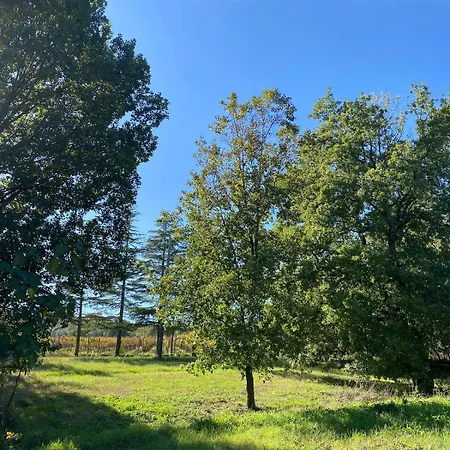 Appartement In Casale Umbro Vicino Orvieto - *